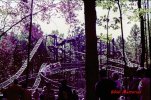 E9DF383E-AB4A-4C79-9EC2-ABF80577714D.jpeg