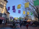 023BBB61-9BA3-40F5-AAEF-7BCDC061E388.jpeg