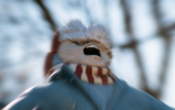 1612813796737.png