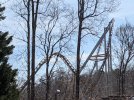 PXL_20210314_174945994.MP.jpg