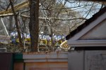 DSC_0779_1.JPG
