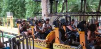 Cheetah Hunt.jpg