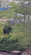 20210404_101536.jpg