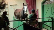 VideoCapture_20210415-213338.jpg