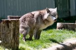_DSC5747.jpg