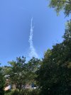 D3774766-D03E-4B54-AE75-7AA35F1732FE.jpeg