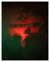 ZCZ_6861-12.png