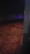 VideoCapture_20211118-191049.jpg