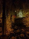 PXL_20211204_015052805.NIGHT.jpg