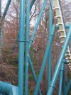 IMG_1900a.JPG