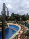 PXL_20220325_194739322.jpg