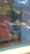 20220630_171337.jpg