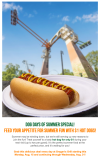 Screenshot 2022-08-13 at 22-31-27 Busch Gardens Williamsburg.png