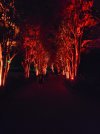 20220909_210404.jpg