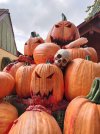 Pumpkins 2.jpg