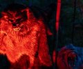 Big Bad Wolf.jpg