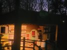 20230127_175513.jpg