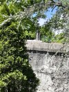 IMG_6004.jpeg
