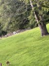 IMG_7890.jpeg