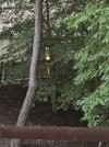 IMG_7895.jpeg
