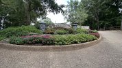 IMG_9082.jpeg