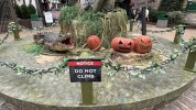 IMG_9203.jpeg