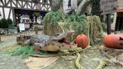 IMG_9205.jpeg