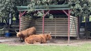 IMG_9214.jpeg