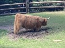 IMG_9856.jpeg