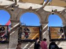 IMG_8461.jpeg