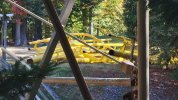 IMG_7718.jpeg