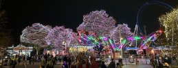 IMG_8398.jpeg