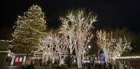 IMG_8384.jpeg