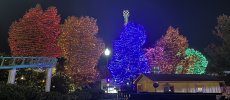 IMG_8417.jpeg