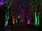 IMG_3243a.JPG