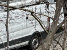 IMG_6949.jpeg