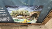IMG_2499.jpeg