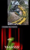 IMG_8935.jpeg