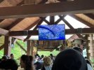 IMG_3550.jpeg