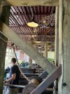 IMG_6981.jpeg
