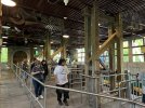 IMG_1533.jpeg