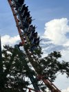 IMG_9108.jpeg