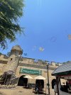 IMG_2419.jpeg
