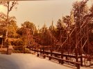 IMG_1820.jpeg