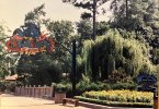 IMG_1849.jpeg