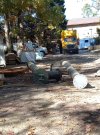 IMG_5698.jpeg