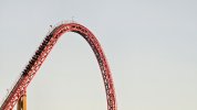 20241103_165946.jpg