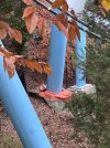 IMG_3512.jpeg