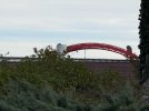 IMG_1566.jpg