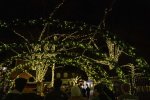 IMG_5912.JPG